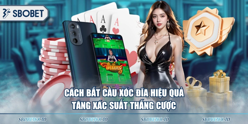 Cách bắt cầu Xóc Đĩa hiệu quả tăng xác suất thắng cược