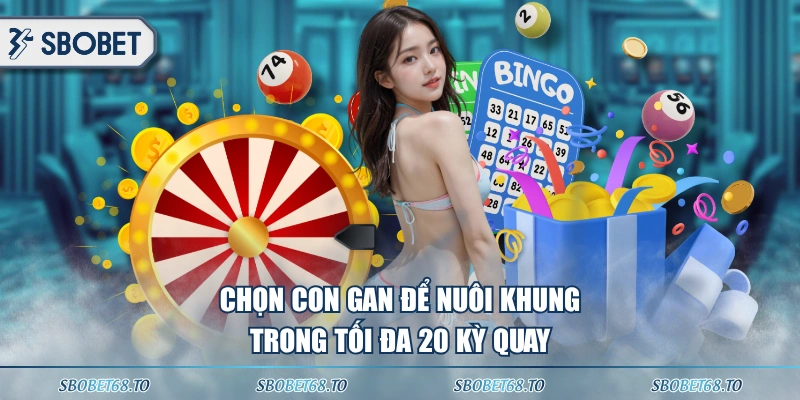 Chọn con gan để nuôi khung trong tối đa 20 kỳ quay