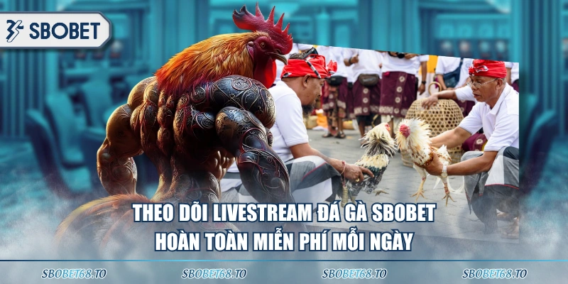 Theo dõi livestream đá gà SBOBET hoàn toàn miễn phí mỗi ngày