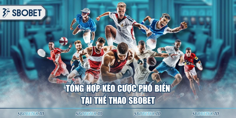 Tổng hợp kèo cược phổ biến tại thể thao SBOBET